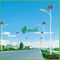 Les réverbères de panneau solaire de l'économie d'énergie 8M Polonais avec 40W Epister LED ébrèchent