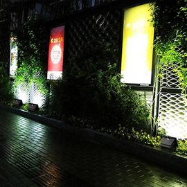 CE extérieur solaire de rendement optimum RoHs de lumières d'inondation de LED pour l'éclairage de paysage
