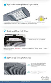Montages IP65, 120v 130v 240v d'éclairage routier de la puissance élevée LED de l'aluminium 100W