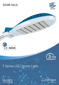 110 lumière de route de la puissance élevée LED de lm/w IP65 100 watts avec la lentille en plastique