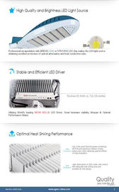 110 lumière de route de la puissance élevée LED de lm/w IP65 100 watts avec la lentille en plastique